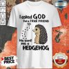 I Asked God A True Friend He Sent A Hedgehog Shirt
